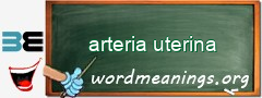 WordMeaning blackboard for arteria uterina